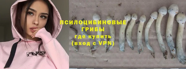 дживик Алексеевка